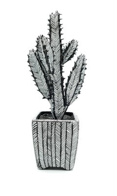 Contemporary Conceptual Plant Sculpture Cactus Drawing unique Female artist NYC