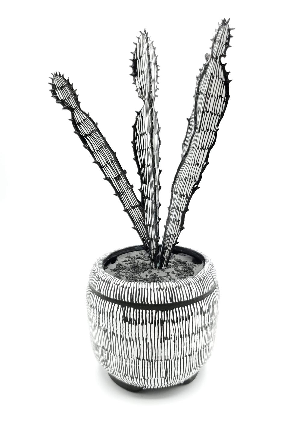 Contemporary Conceptual Plant Sculpture Cactus Drawing unique Female artist NYC - Mixed Media Art by Anne Muntges