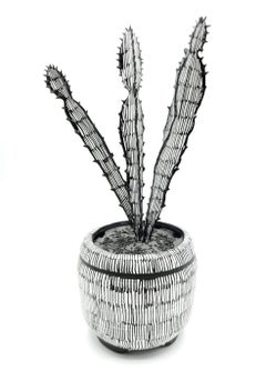 Contemporary Conceptual Plant Sculpture Cactus Drawing unique Female artist NYC