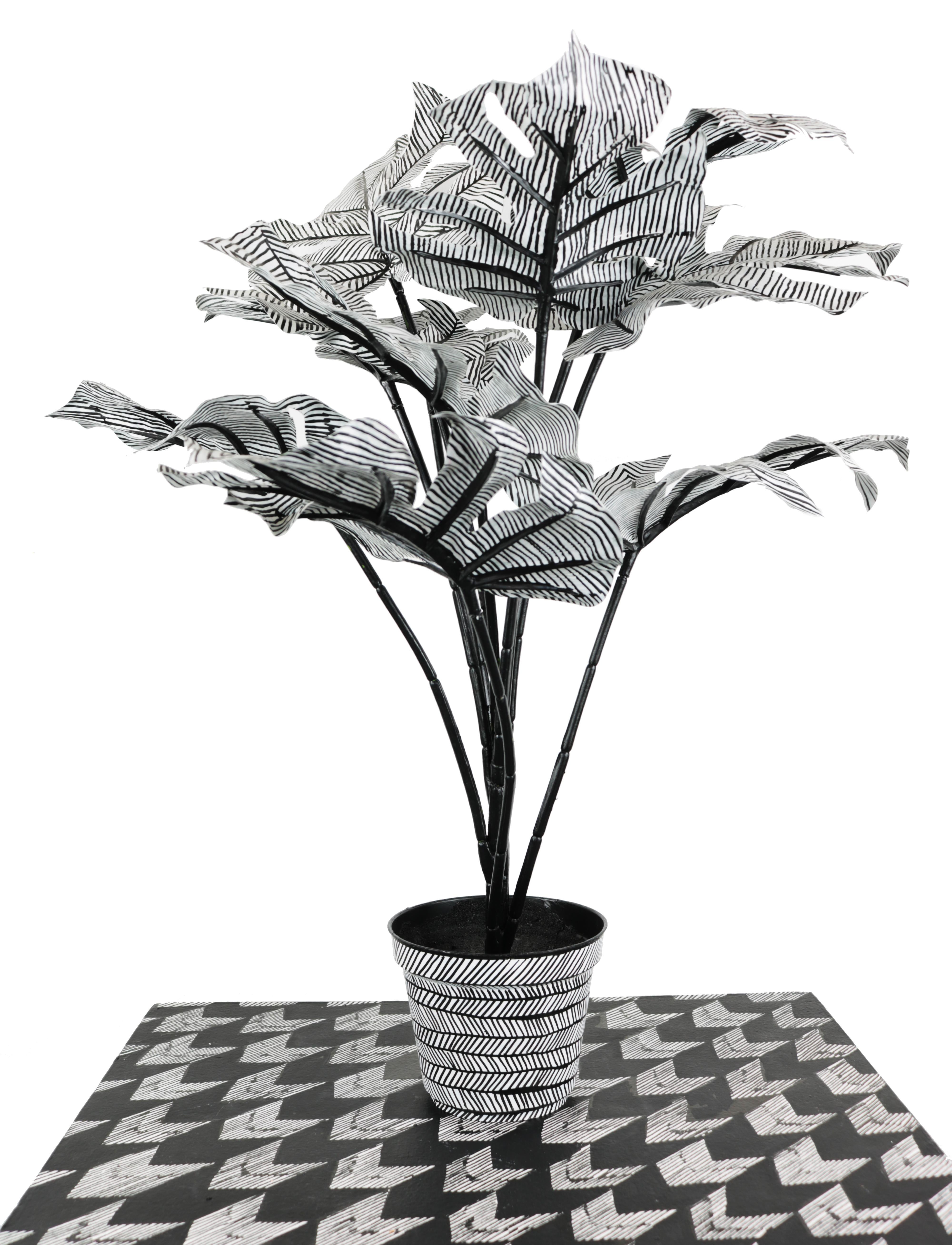 Contemporary Conceptual Plant Sculpture Plant Drawing unique Female artist NYC - Mixed Media Art by Anne Muntges