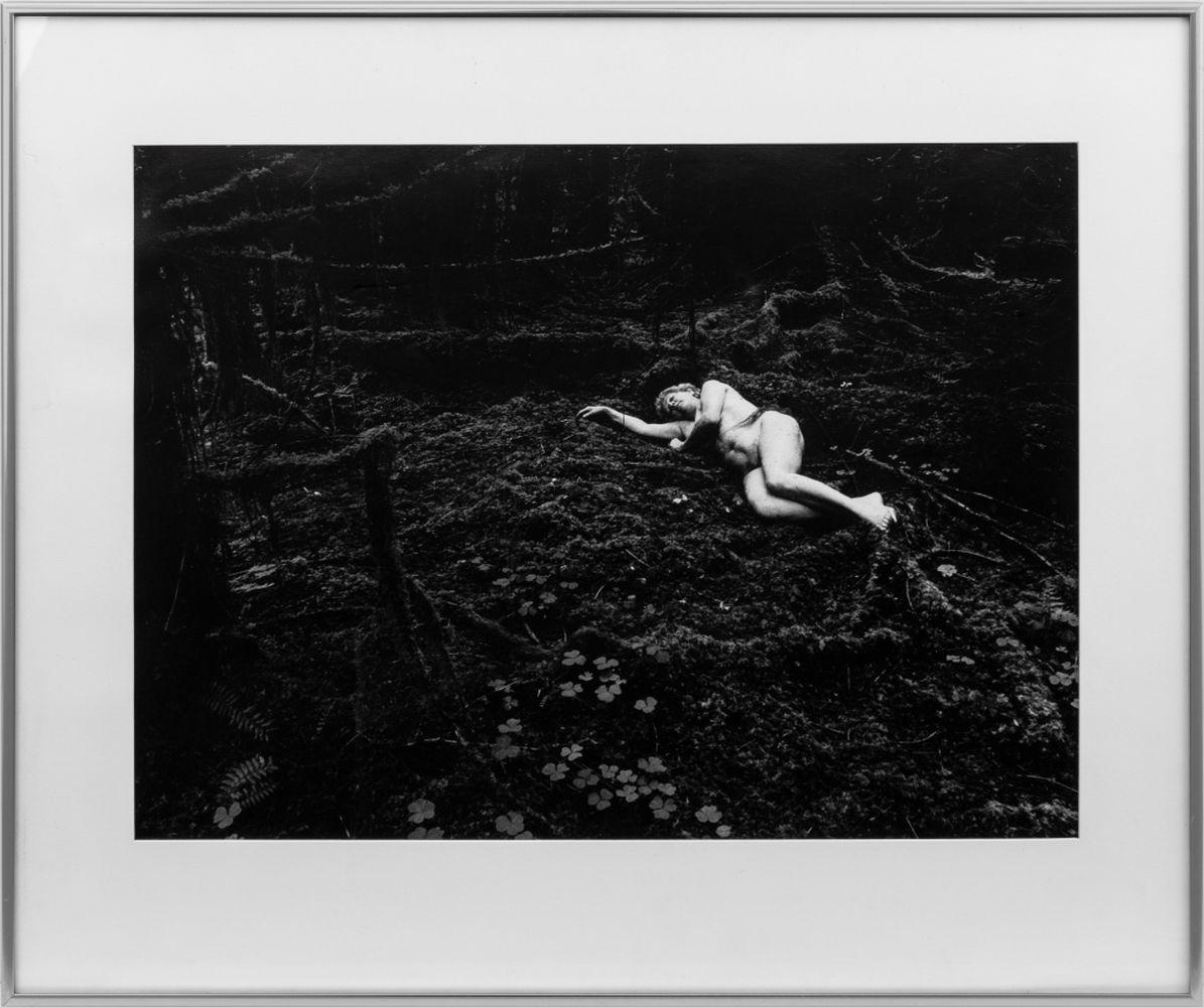 Plante Photographies