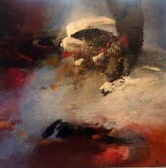 Emergenze XIV
