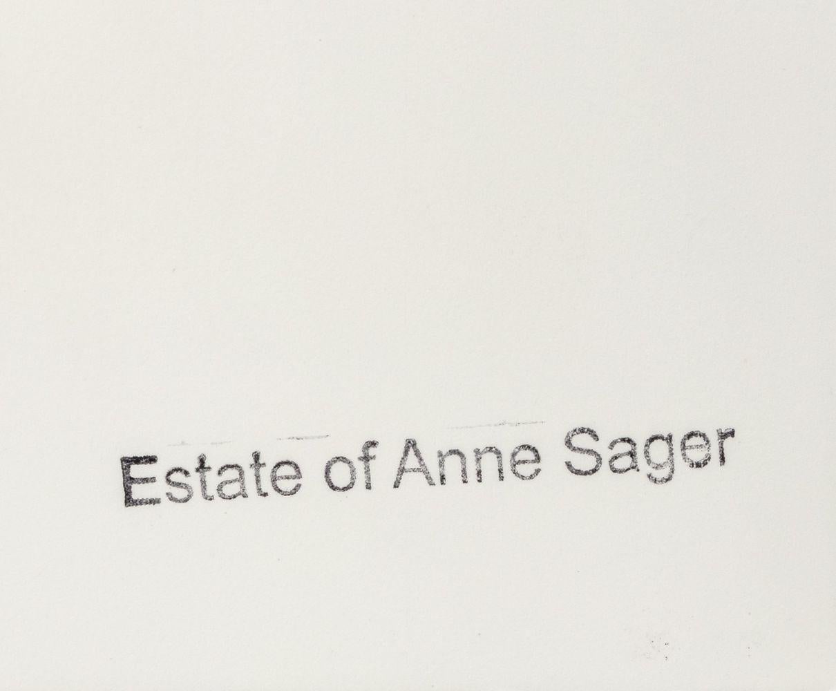 Anne Sager (American, 1930-2024), Airplane Wing, Chromogenic Print, with artist's estate stamp to verso, unframed. Image: 20