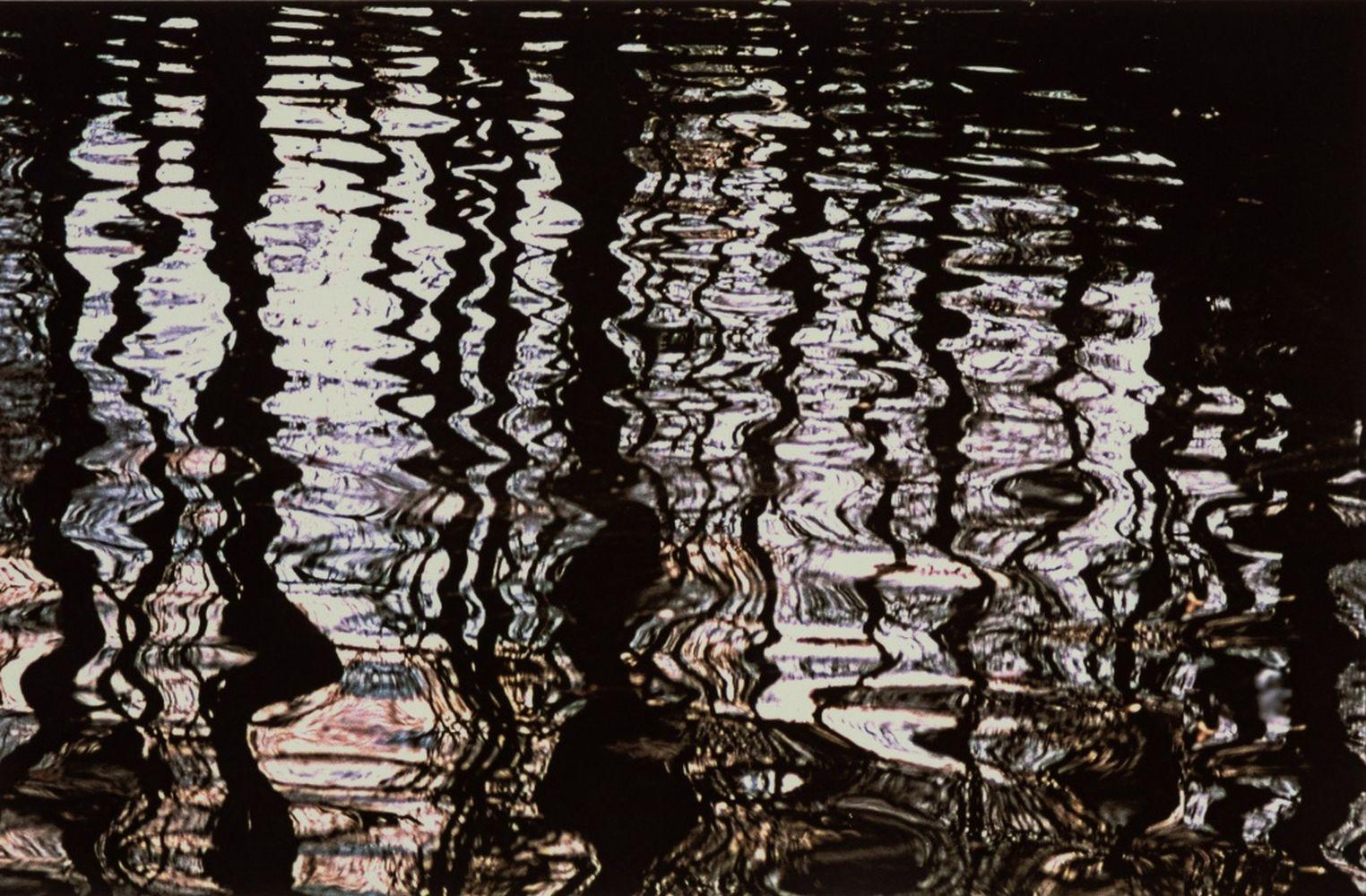 Anne Sager Forest Reflections Photograph Print For Sale 1