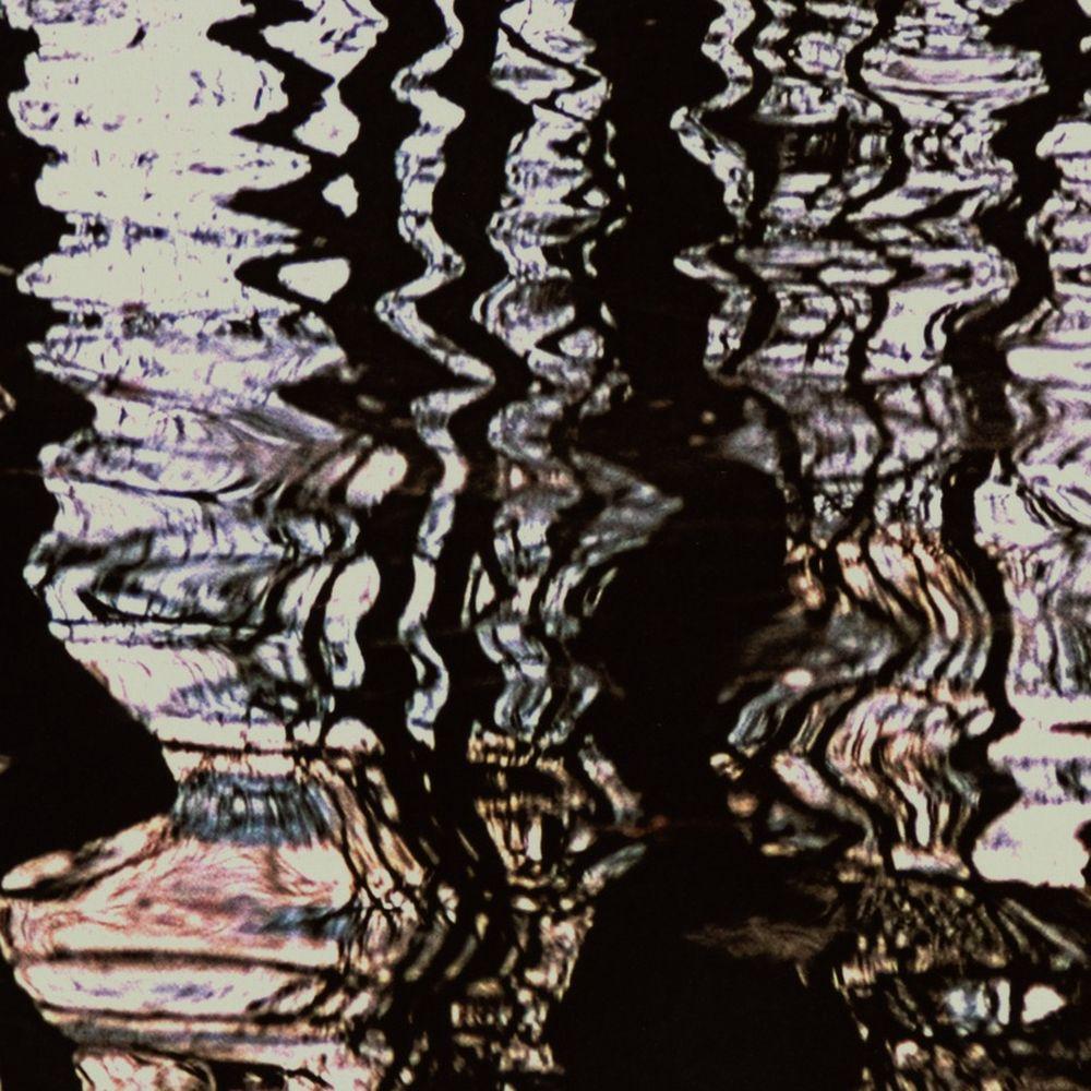 Anne Sager Forest Reflections Photograph Print For Sale 2