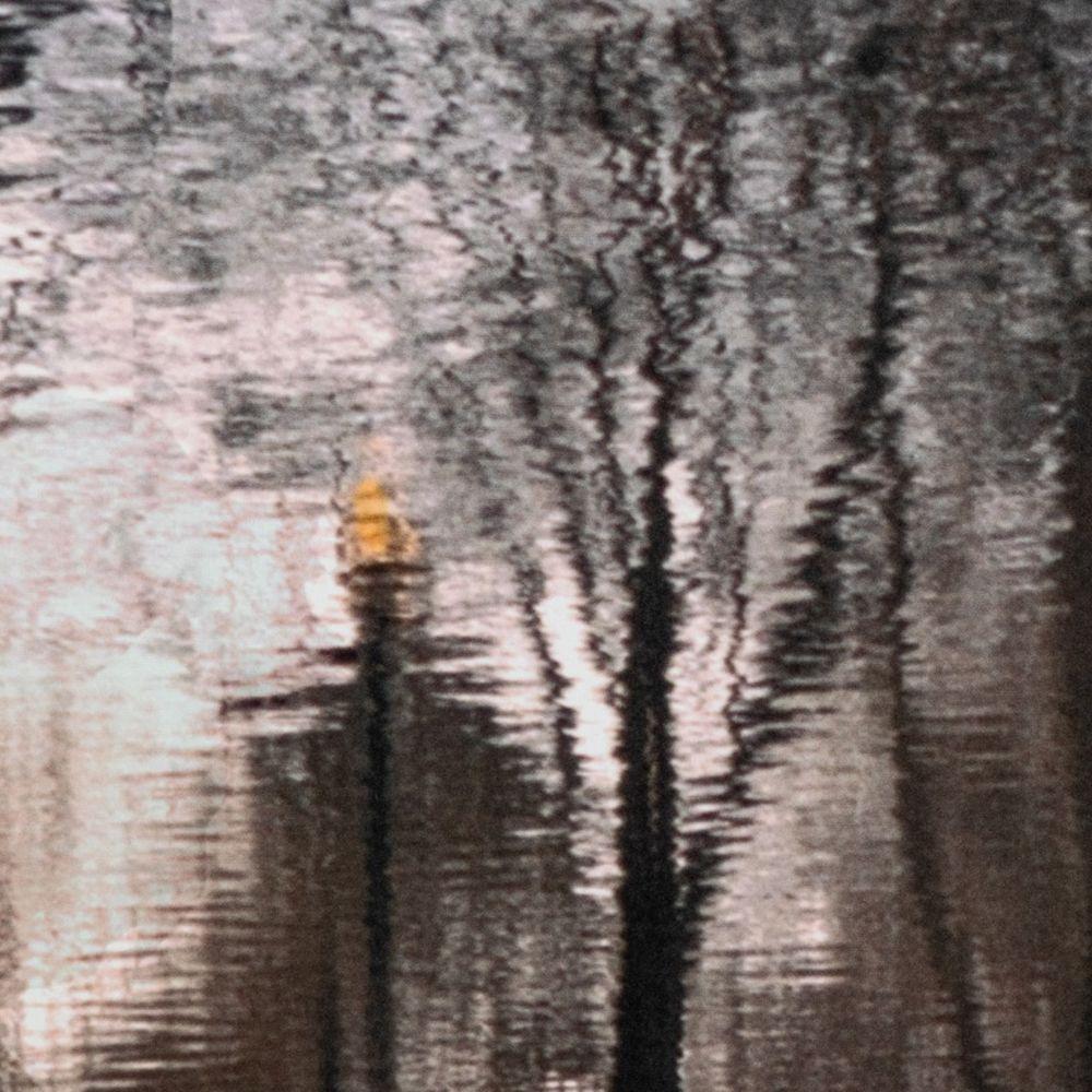 Réflexions sur le parc de la ville - Photograph de Anne Sager