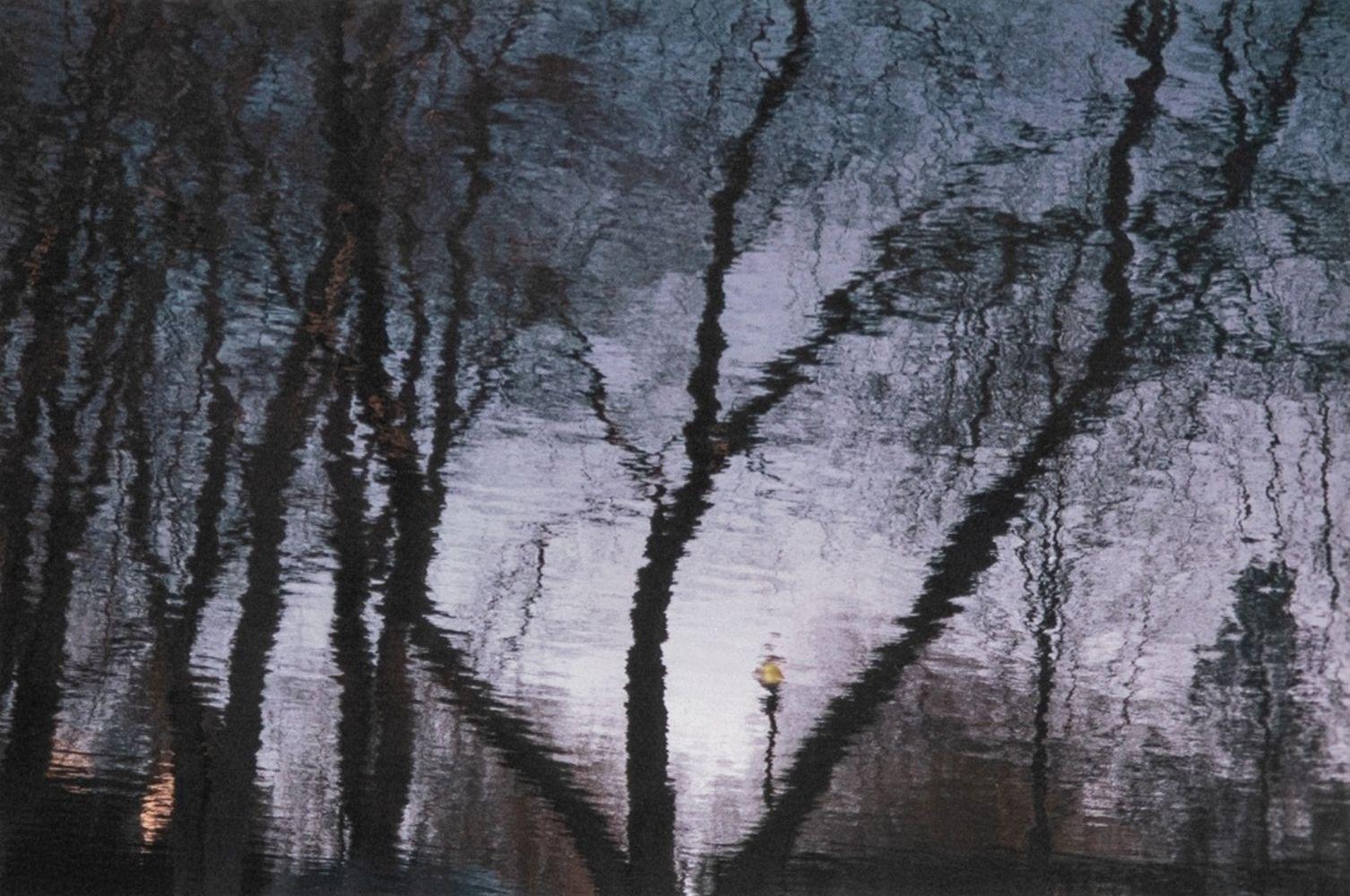 City Park Reflections - Photograph by Anne Sager