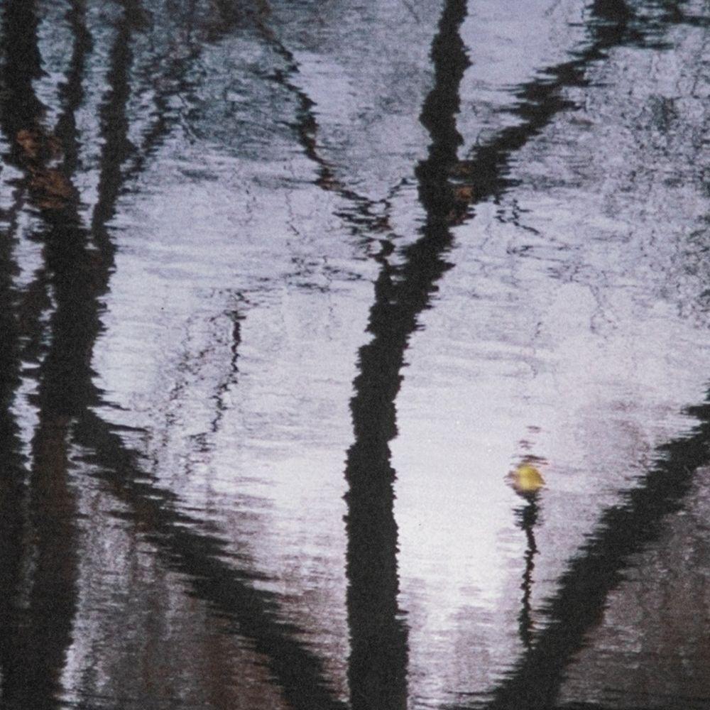 City Park Reflections - Contemporary Photograph by Anne Sager