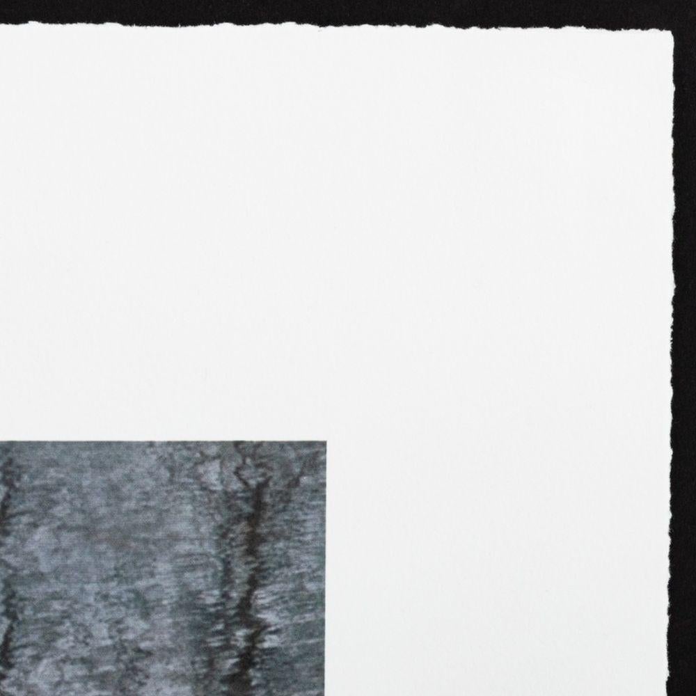 Réflexions sur le parc de la ville - Gris Landscape Photograph par Anne Sager