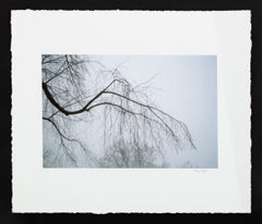 Landscape Photography
