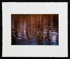 Forest Reflections