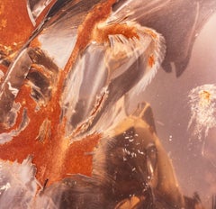 Junk Car Composition