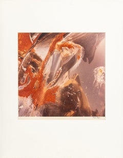 Contemporary Abstract Photography