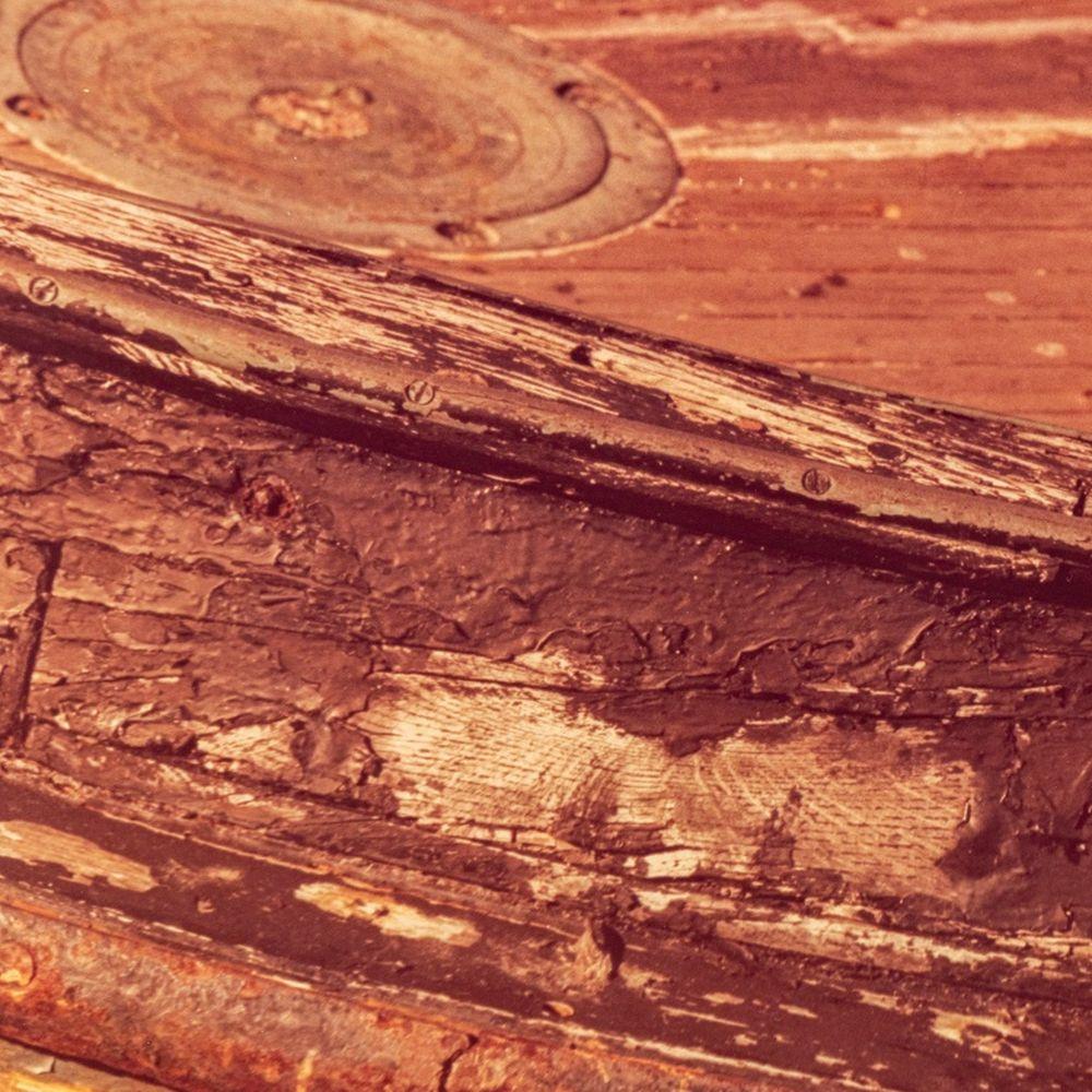 Wood Grain - Photograph Contemporaneo di Anne Sager