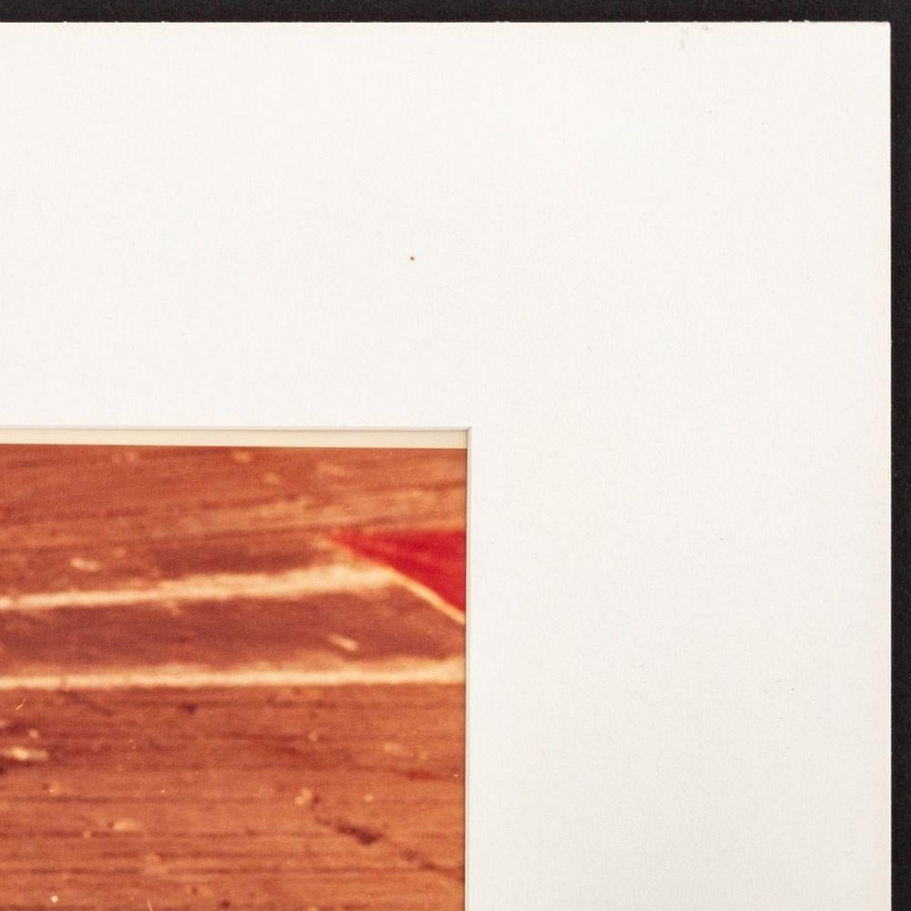 Wood Grain - Color Photograph Bianco di Anne Sager