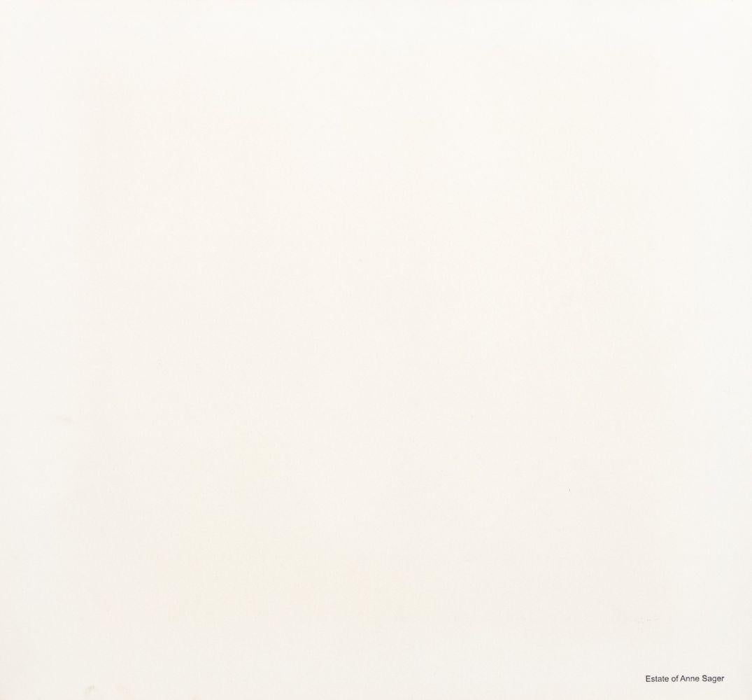 Anne Sager (americana, 1930-2024), Wood Grain, fotografia a colori, stampa cromogenica, apparentemente non firmata, con timbro della proprietà dell'artista sul verso, con tappetino, senza cornice. Immagine: 12,75