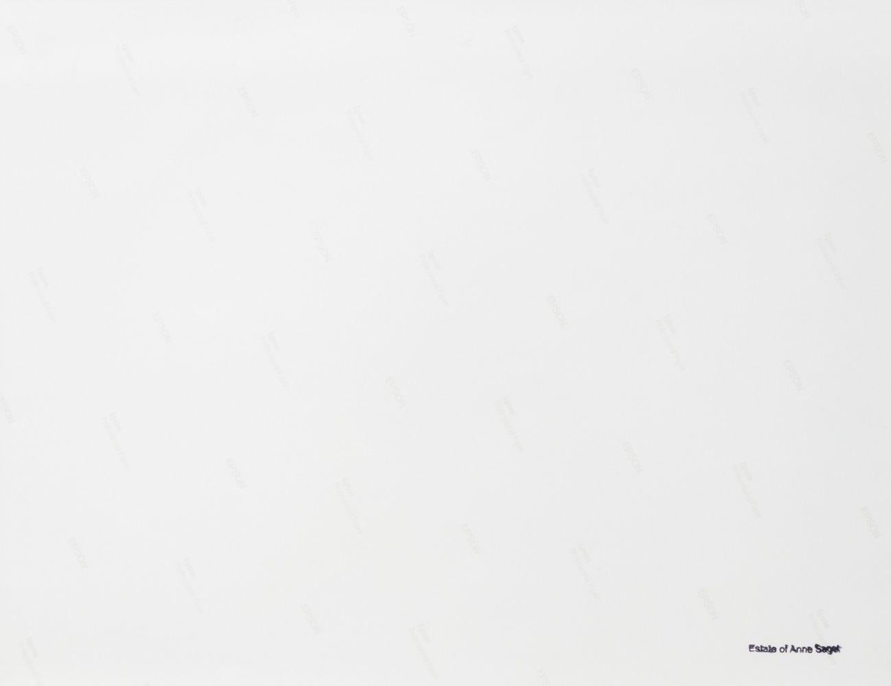 Anne Sager (estadounidense, 1930-2024), Composición abstracta de garabatos, Impresión cromogénica, garabatos blancos sobre fondo negro, aparentemente sin firmar, con el sello de la herencia del artista en el reverso, sin enmarcar. Imagen: 15,75