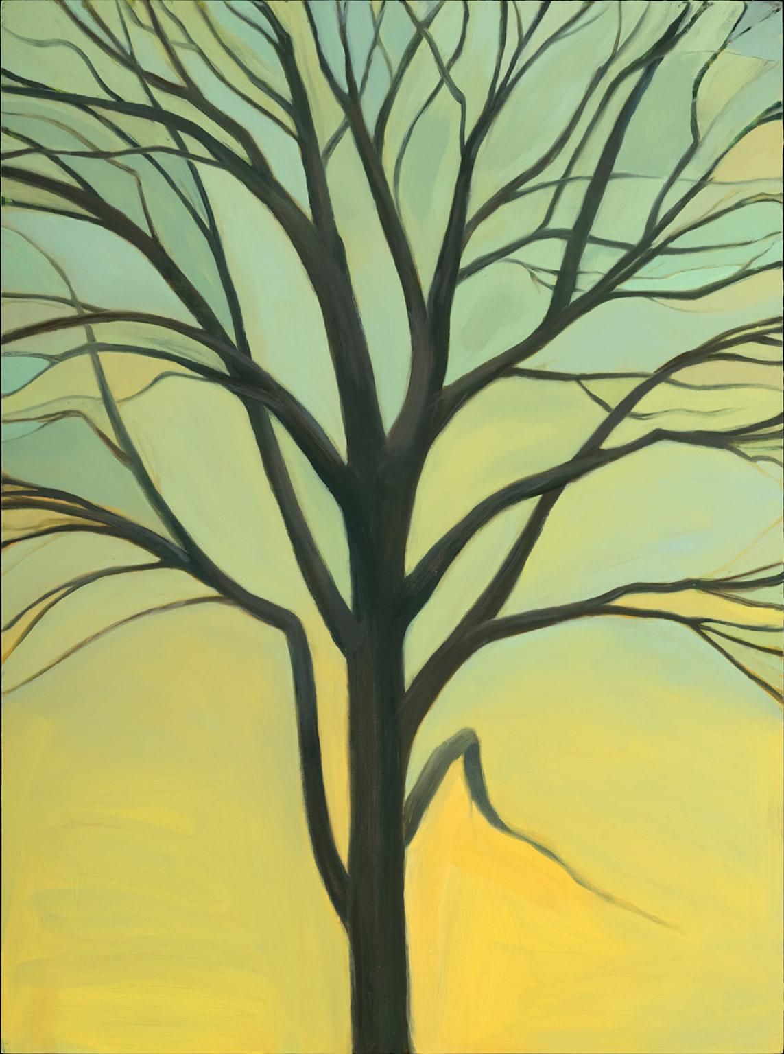 "Maple in Yellow Sky", oil, painting, tree, gray, brown, teal