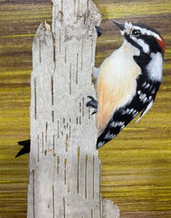 "Slim Pickings", Zeitgenössisch, Vogel, Specht, Birke, Gelb, Mischtechnik