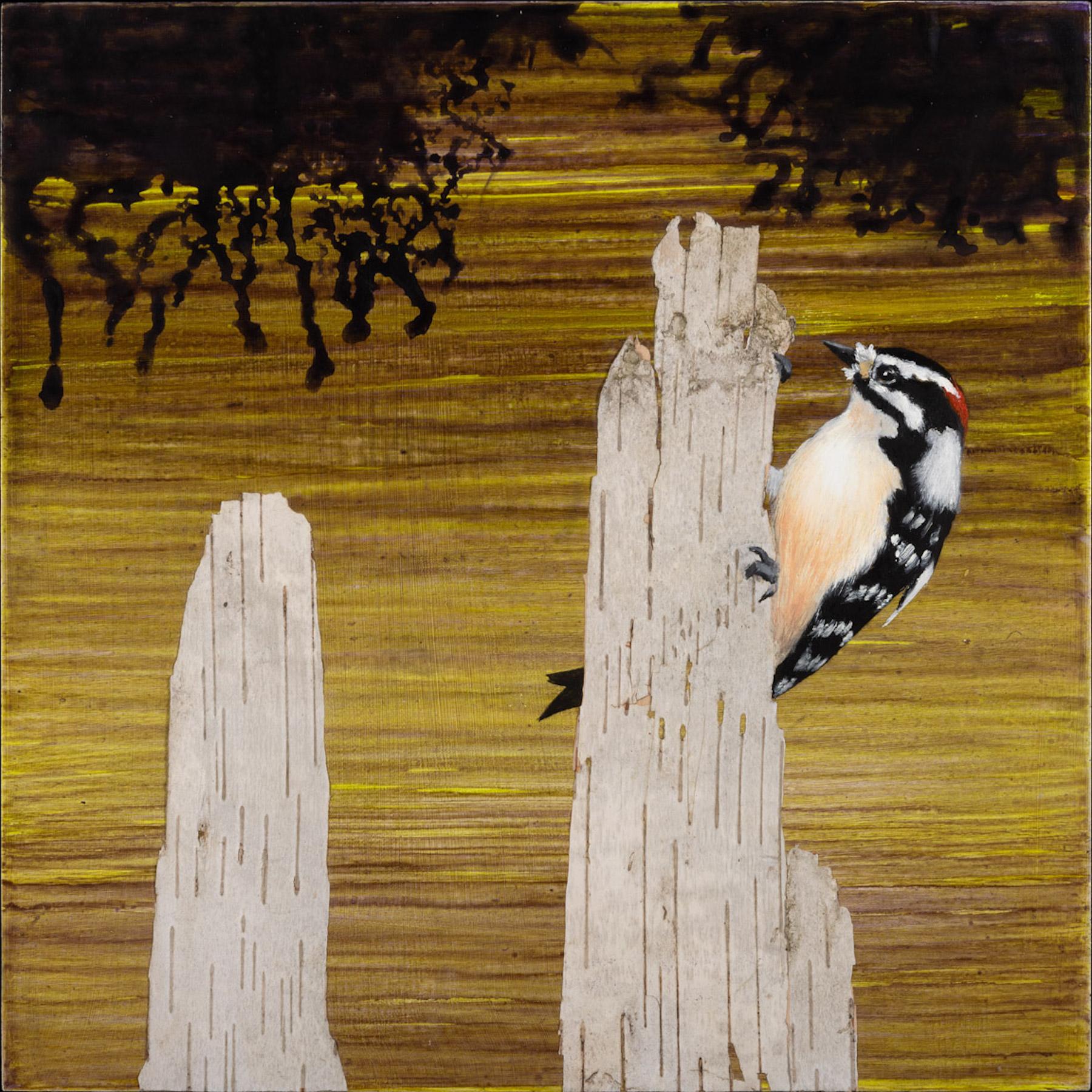 Anne Sargent Walker Animal Painting – "Slim Pickings", Zeitgenössisch, Vogel, Specht, Birke, Gelb, Mischtechnik