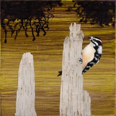 "Slim Pickings", Contemporáneo, Pájaro, Pájaro carpintero, Abedul, Amarillo, Técnica mixta