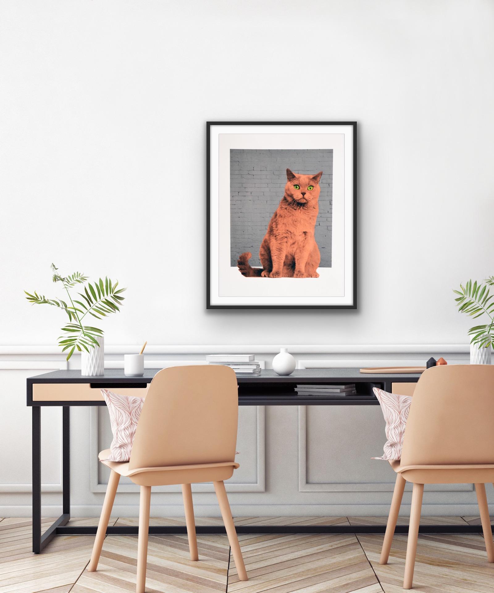 Anne Storno, Everybody wants to be a Cat, Limited Edition Animal Print For Sale 7