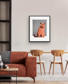 Anne Storno, « Everybody wants to be a Cat » (Tout le monde veut être un chat), imprimé animal en édition limitée