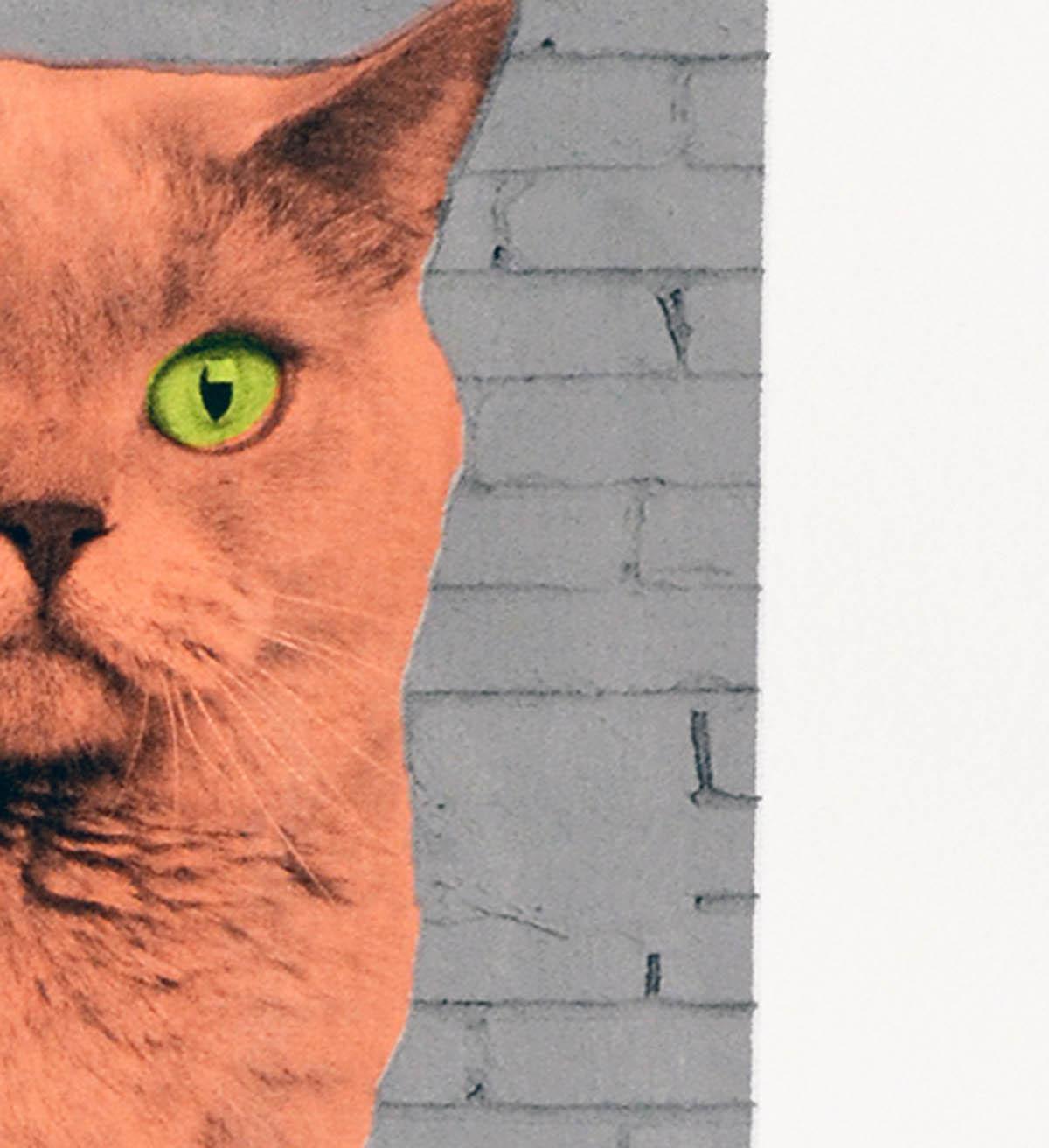 Anne Storno, Everybody wants to be a Cat, Limitierte Auflage Tierdruck im Angebot 4