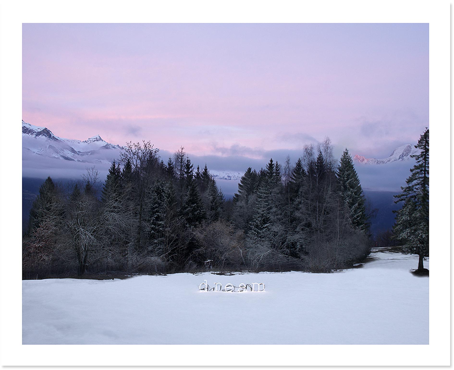 Color Photograph Anne Valverde - Rose rêve de neige, The Dream Art Project