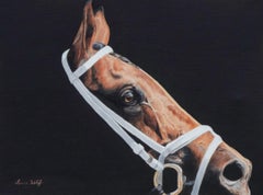 Used Anne Wolff, "Sunlight", Equine Portrait Oil Painting on Canvas