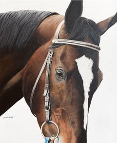 Anne Wolff, "Zenyatta", 24x20 Pferderennen Porträt Öl auf Leinwand
