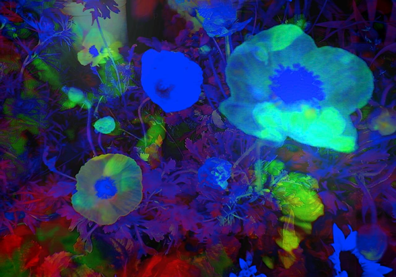 Annelies Strba Abstract Photograph - NYIMA 657-24