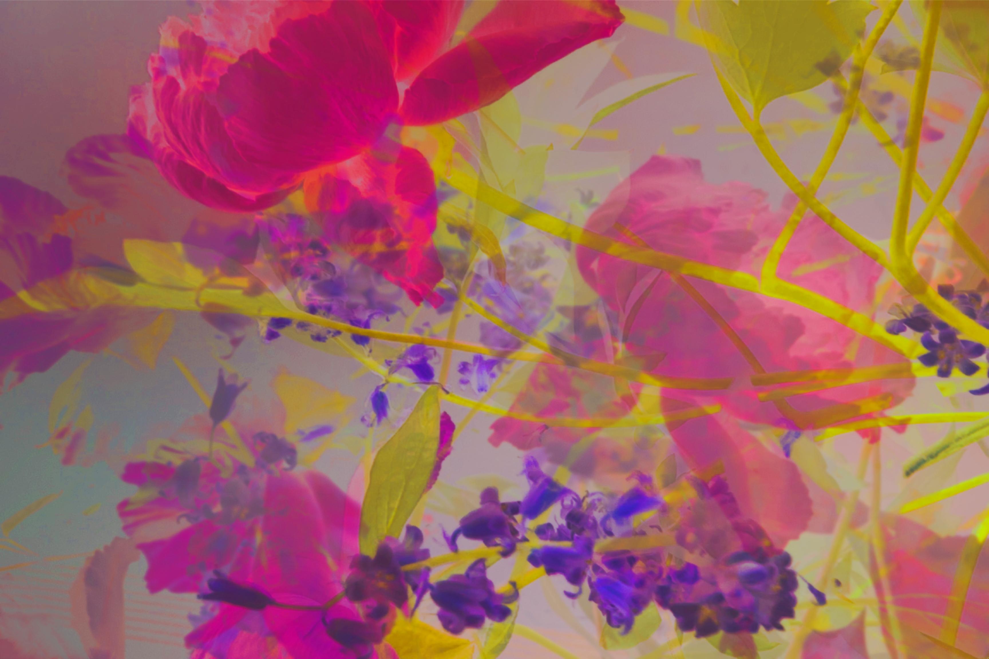 Abstract Photograph de Annelies Strba - Tsukikawa 038_2022