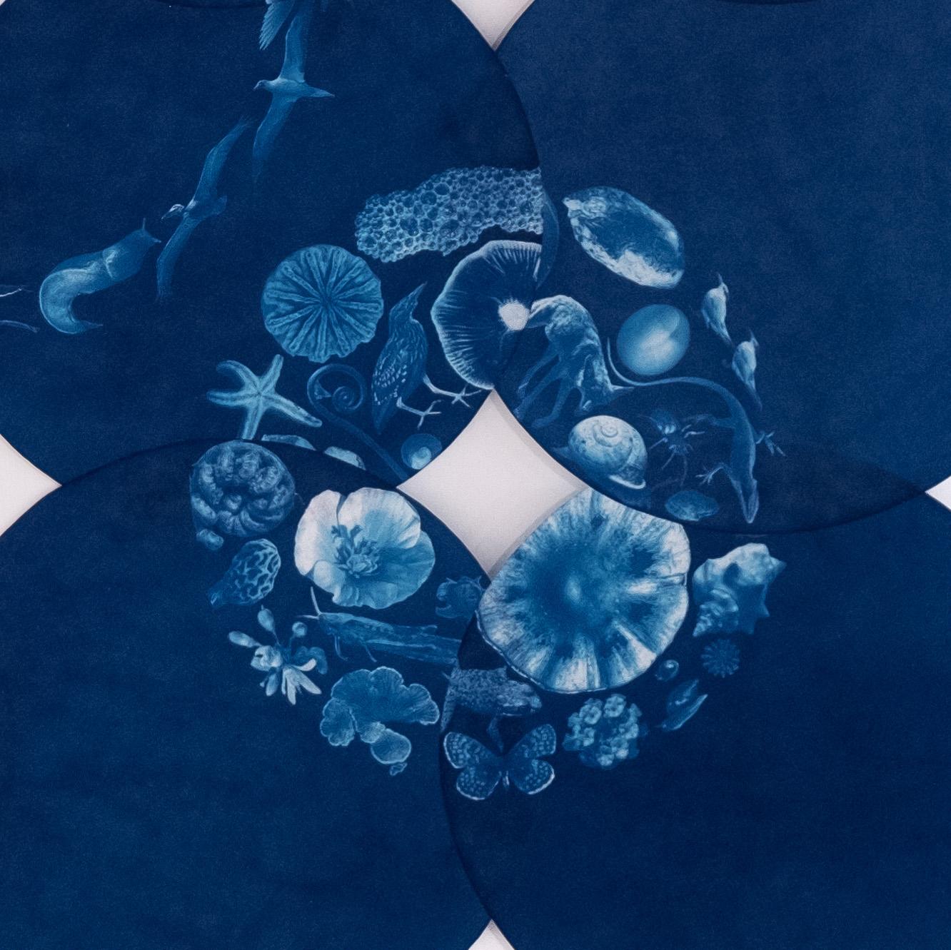 Eine alternative Cyanotypie auf Hahnemuhle Sumi-E-Papier, „Cultivation of Silence“ (Konzeptionell), Photograph, von Annelise Neil