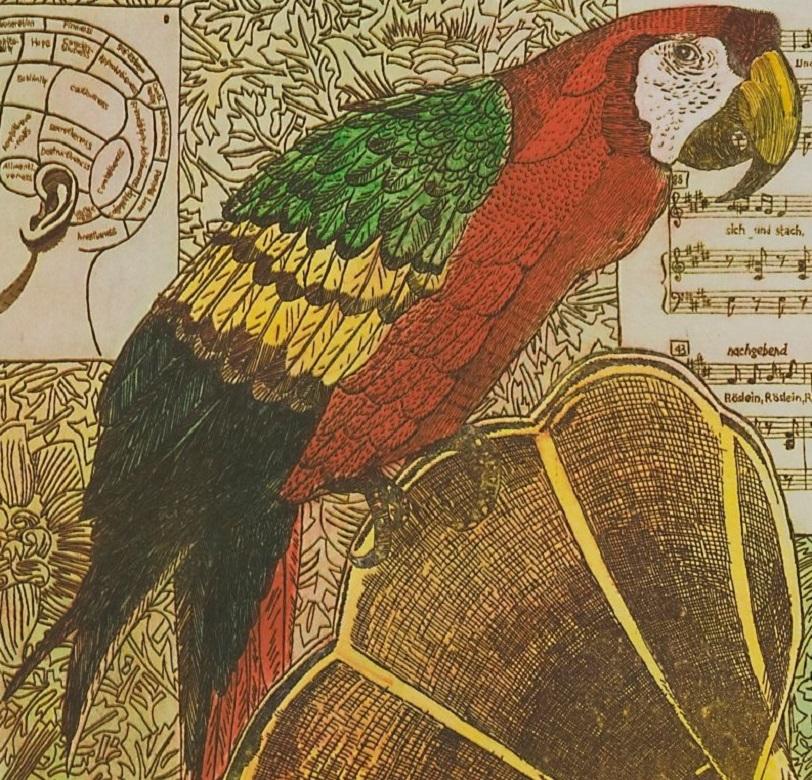 Annemarie Petri - « Interior of a Logopedist » - oiseau perroquet - édition 25 en vente 1