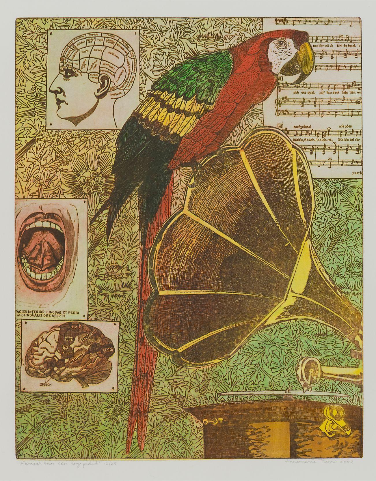 Annemarie Petri - "Interior de un Logopeda" - pájaro loro - tamaño de edición 25