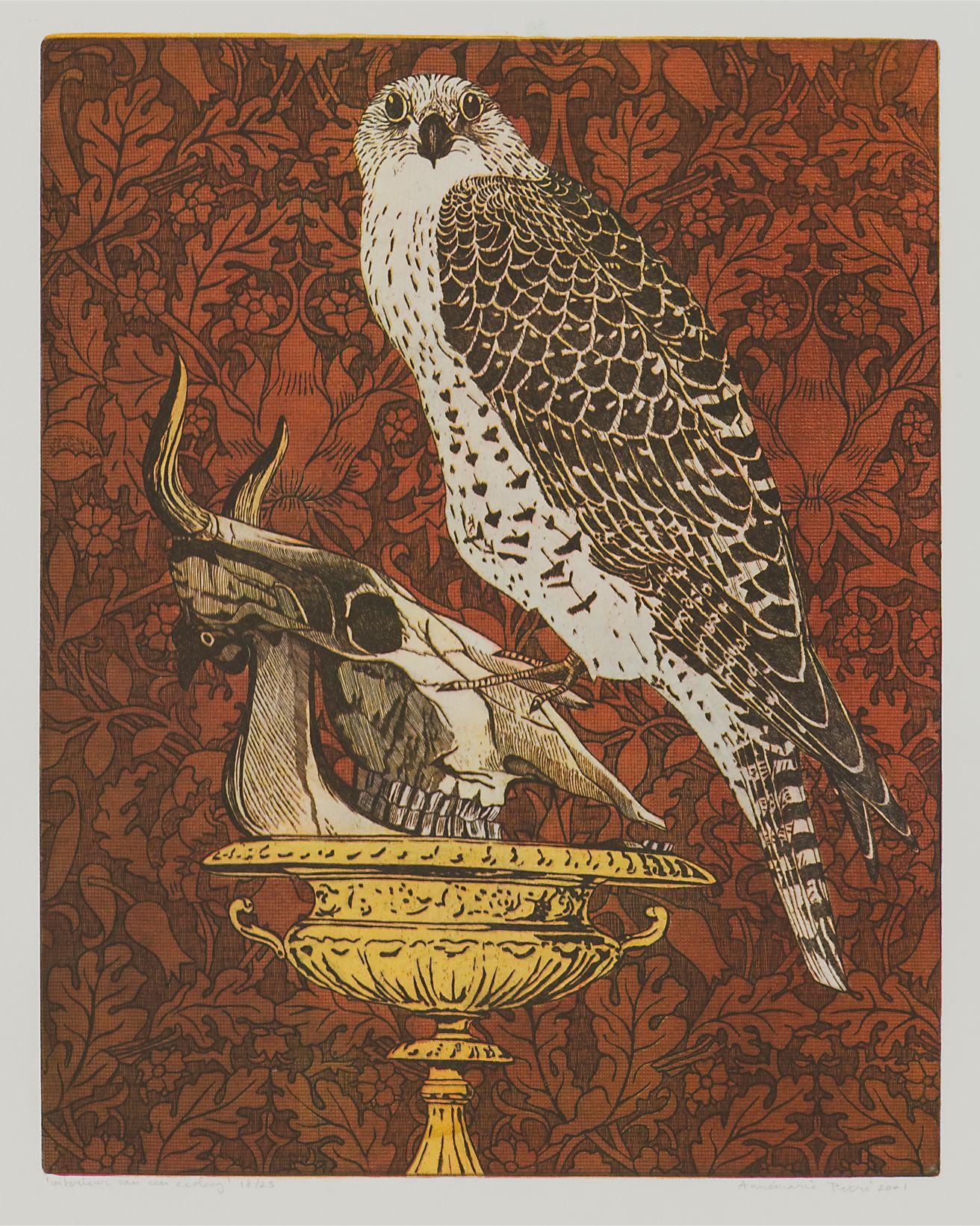 Annemarie Petri - "Interior of an Ecologist" - goshawk bird - edition size 25