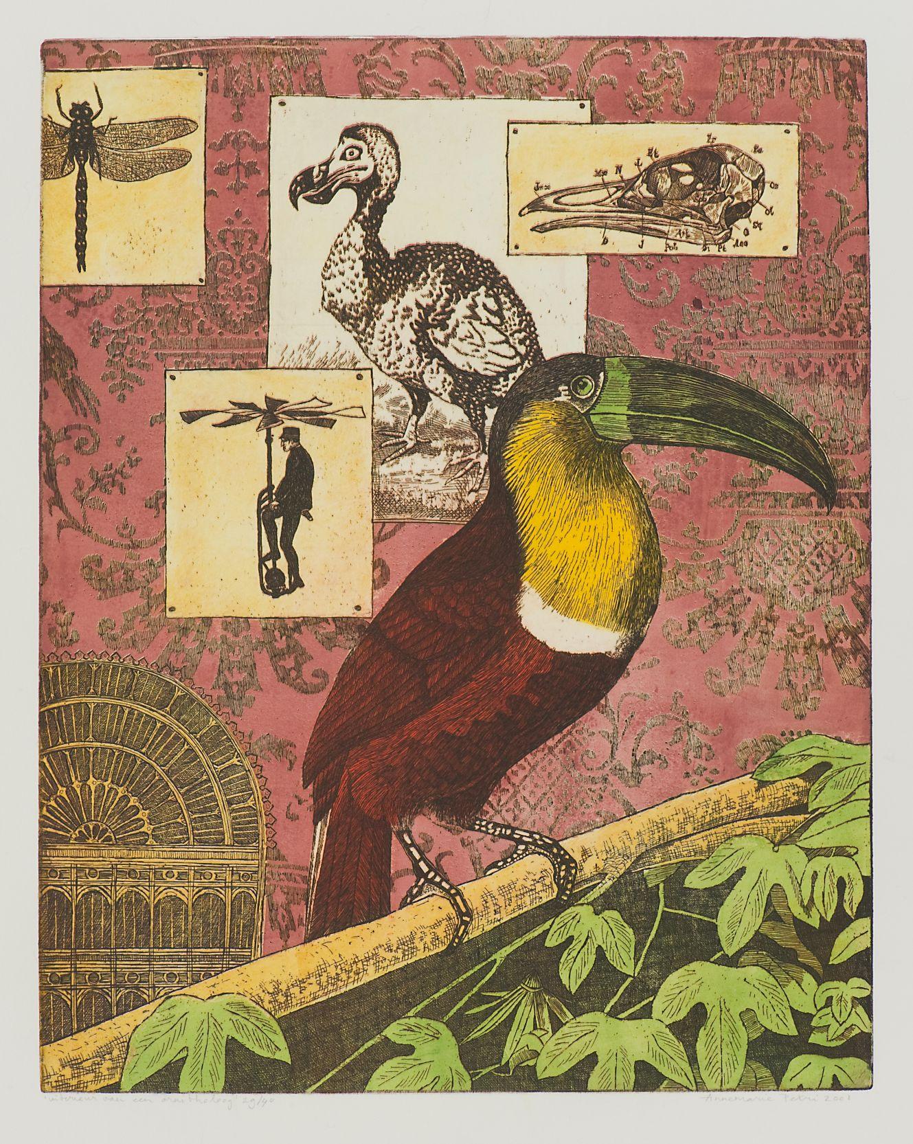 Annemarie Petri - "Interior de un ornitólogo" - pájaro tucán - tamaño de edición 25