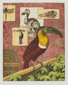 „Interior of an Ornithologist“ – toucanischer Vogel von Annemarie Petri – Auflage: 25 Stück