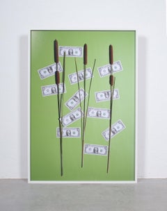 Annette Kelm Money Tree Photography, 2015