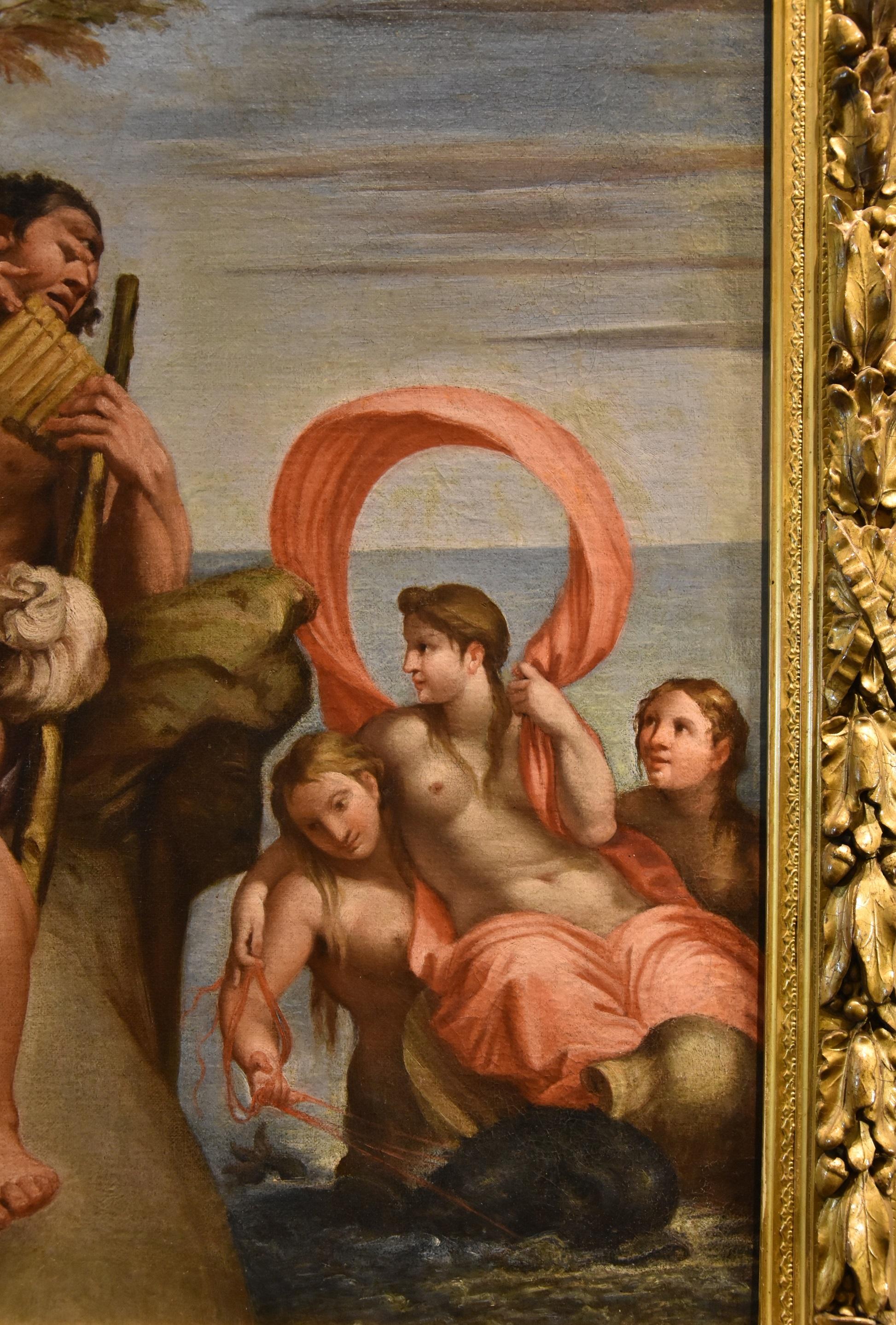 Peinture de Galatea Carracci du 17ème siècle huile sur toile Vieux maître Italie en vente 1