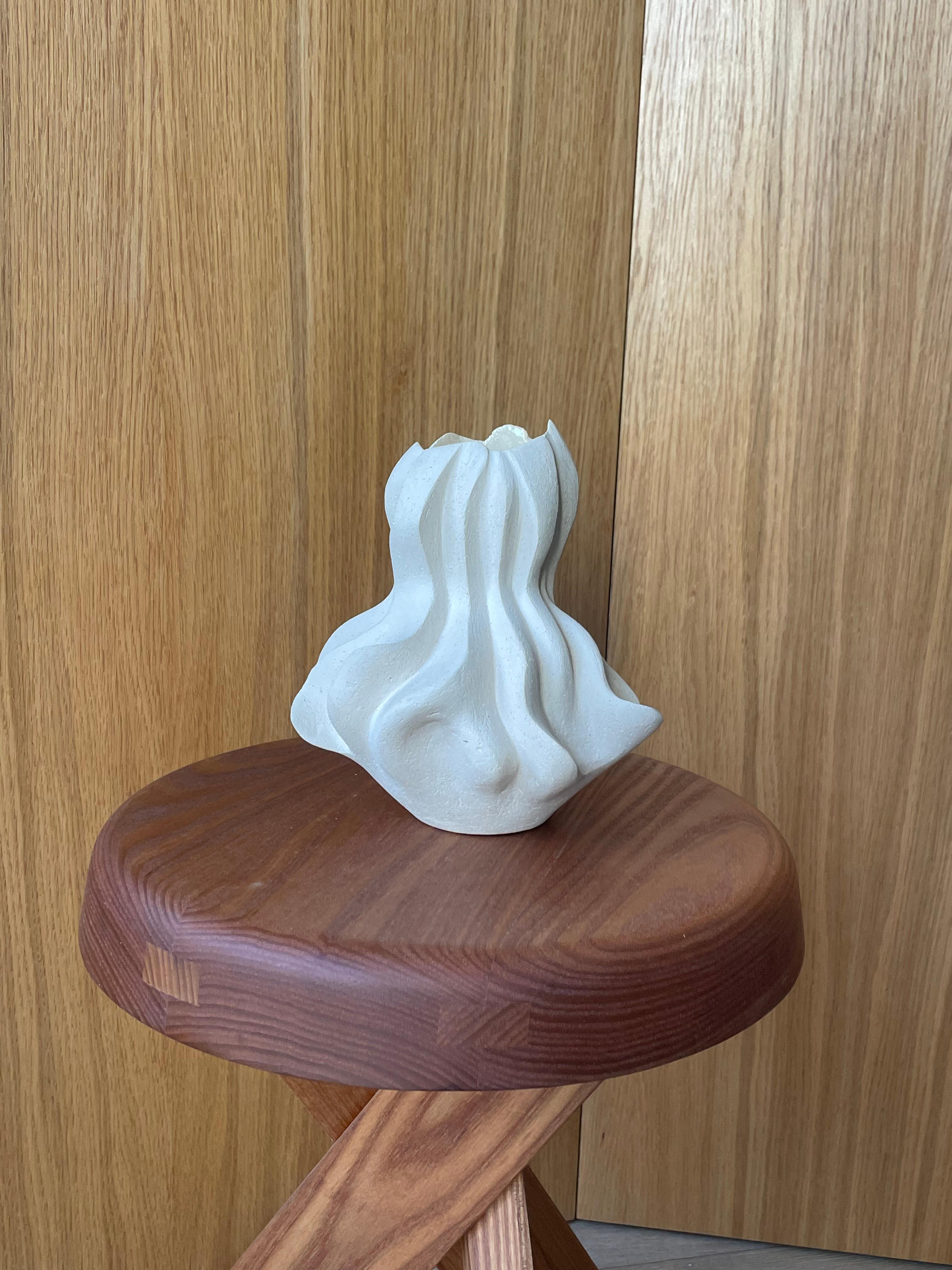 Vaso scultura di Annick Bailly in vendita 9