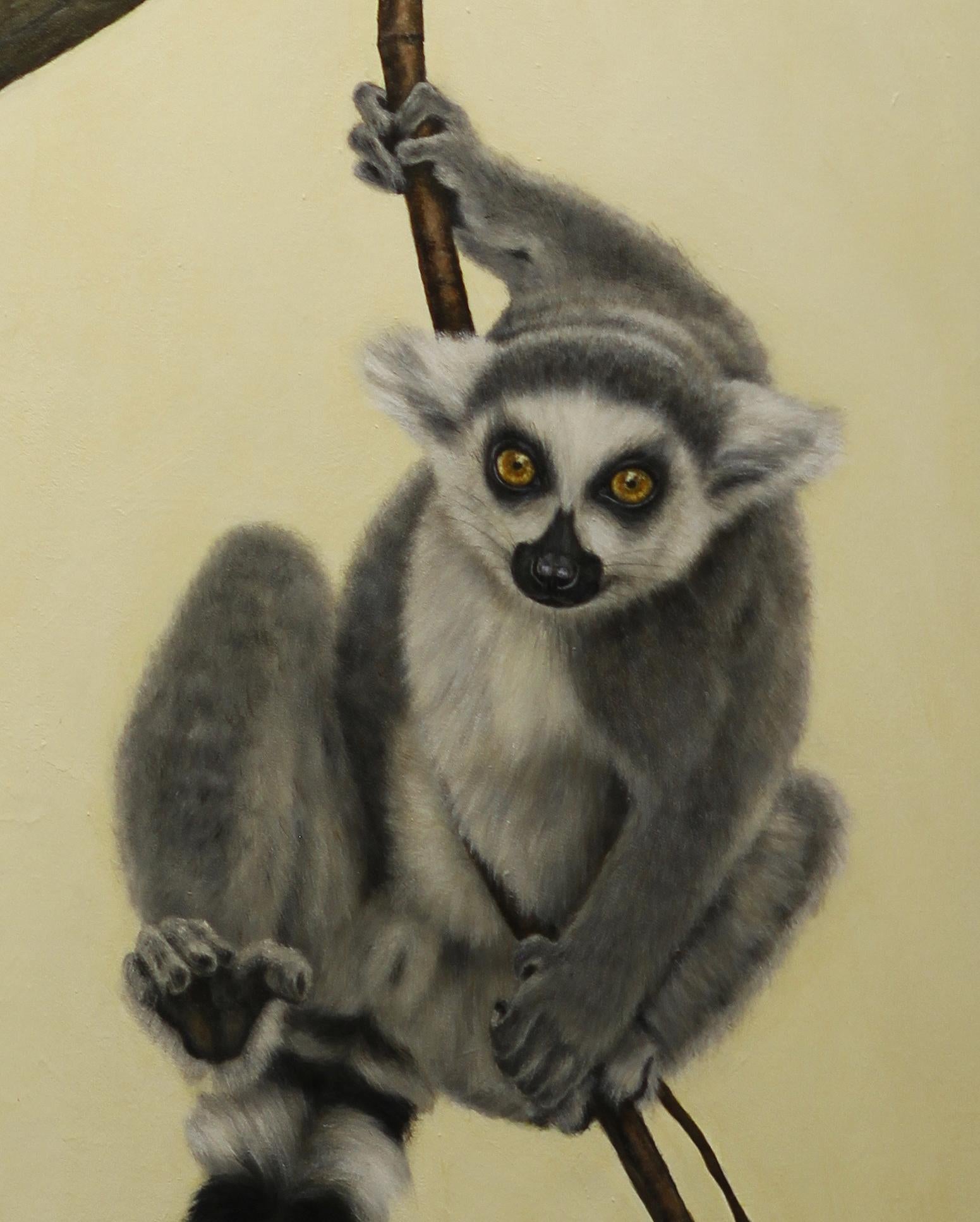 the ring tailed lemur reading answers