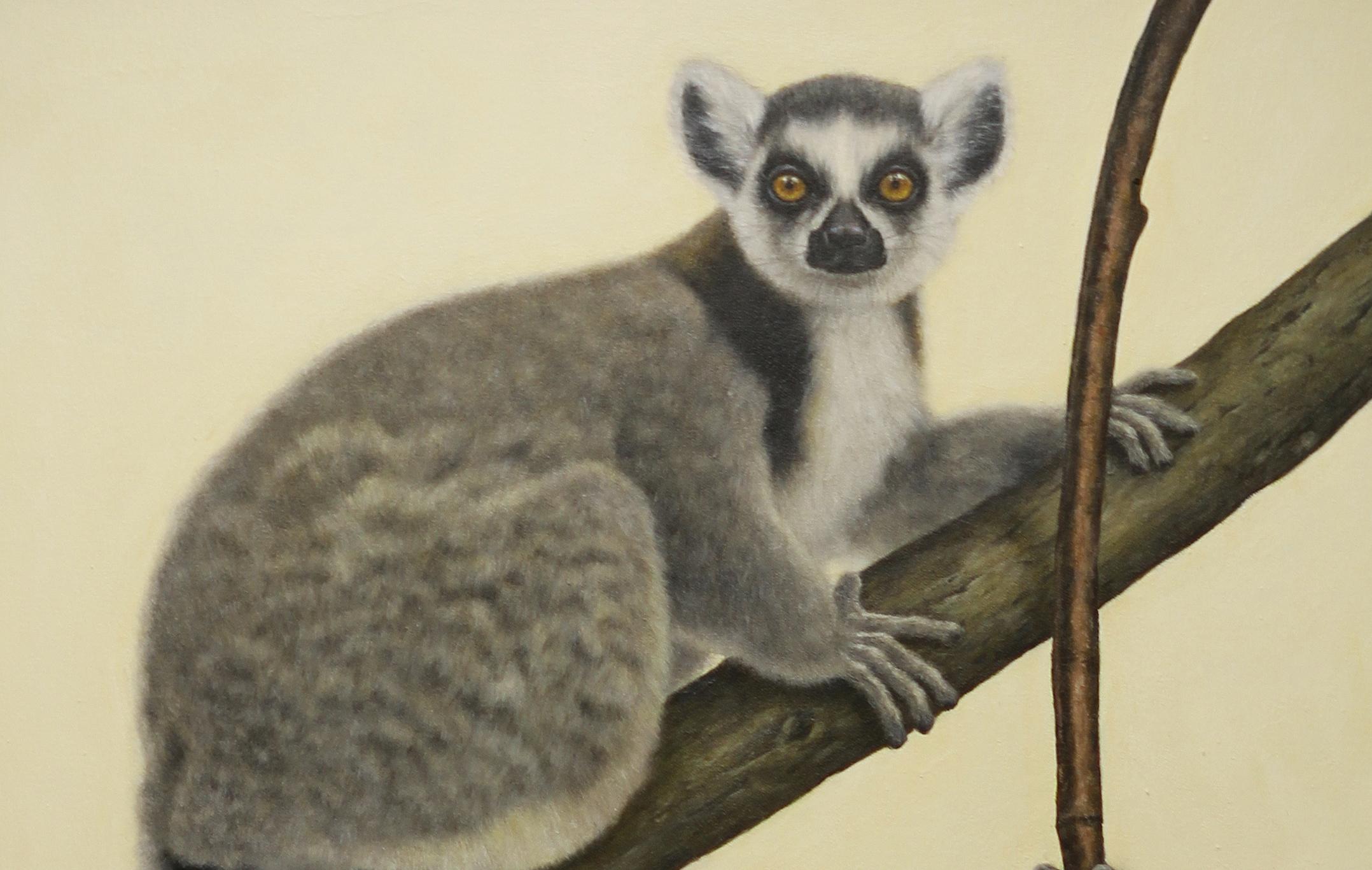 lemur show 2000s