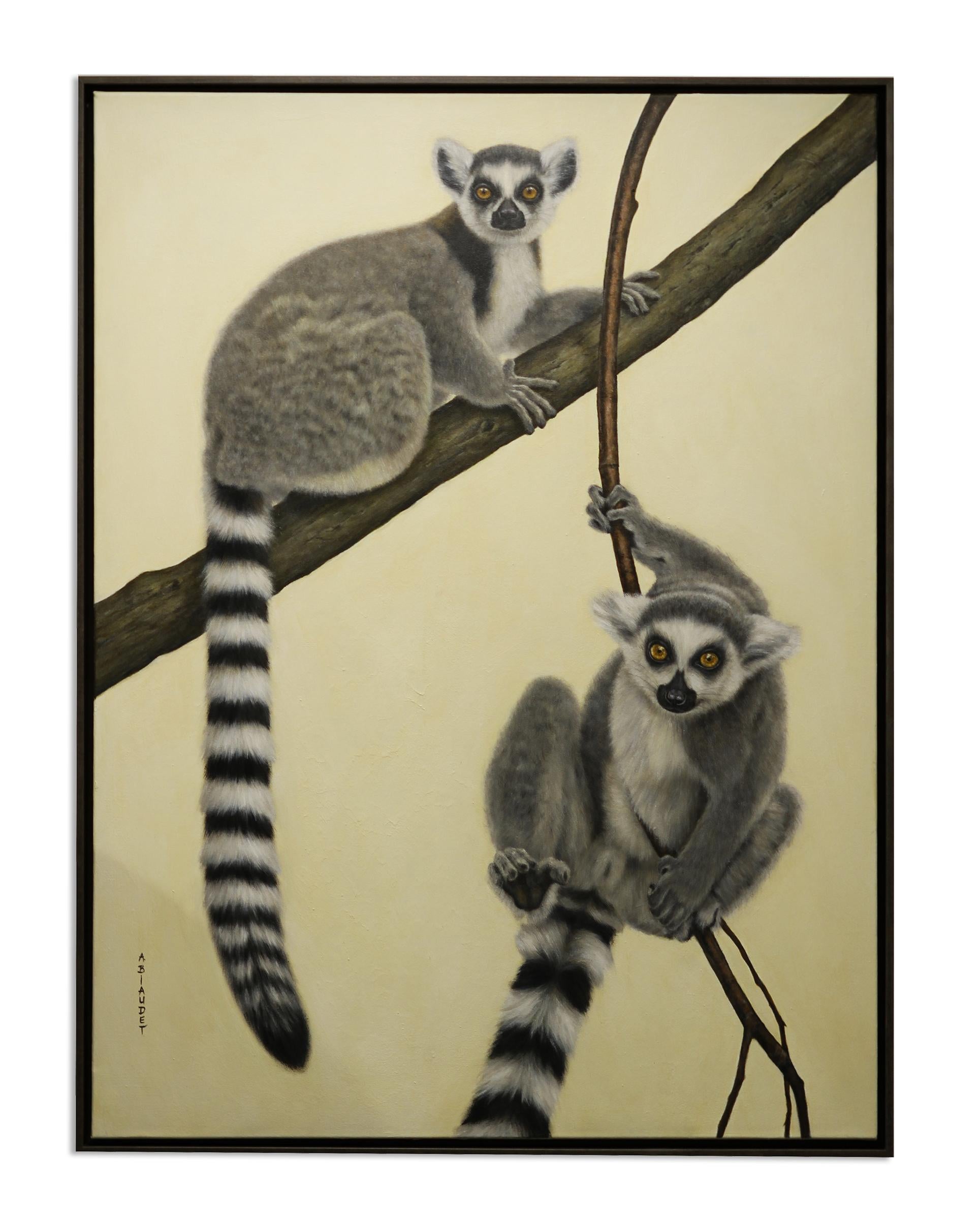 the ring-tailed lemur reading answers