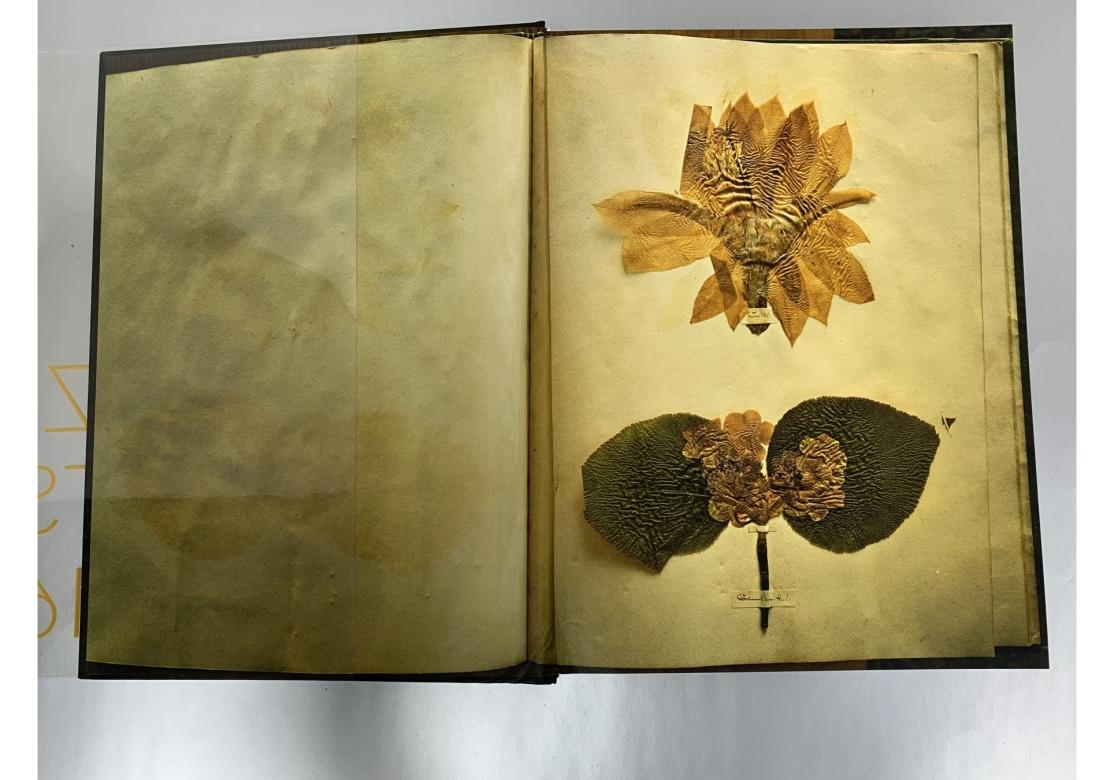 Acrilico Annie Leibovitz Portraits 2005-2016 Signed HB Book in vendita