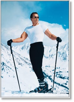 ARNOLD Schwarzenegger. Sigined Annie Leibovitz ChromaLuxe Aluminum Print & Book