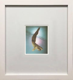 Greg Louganis, Los Angeles Offset Print, Framed, 1992, Mint Condition