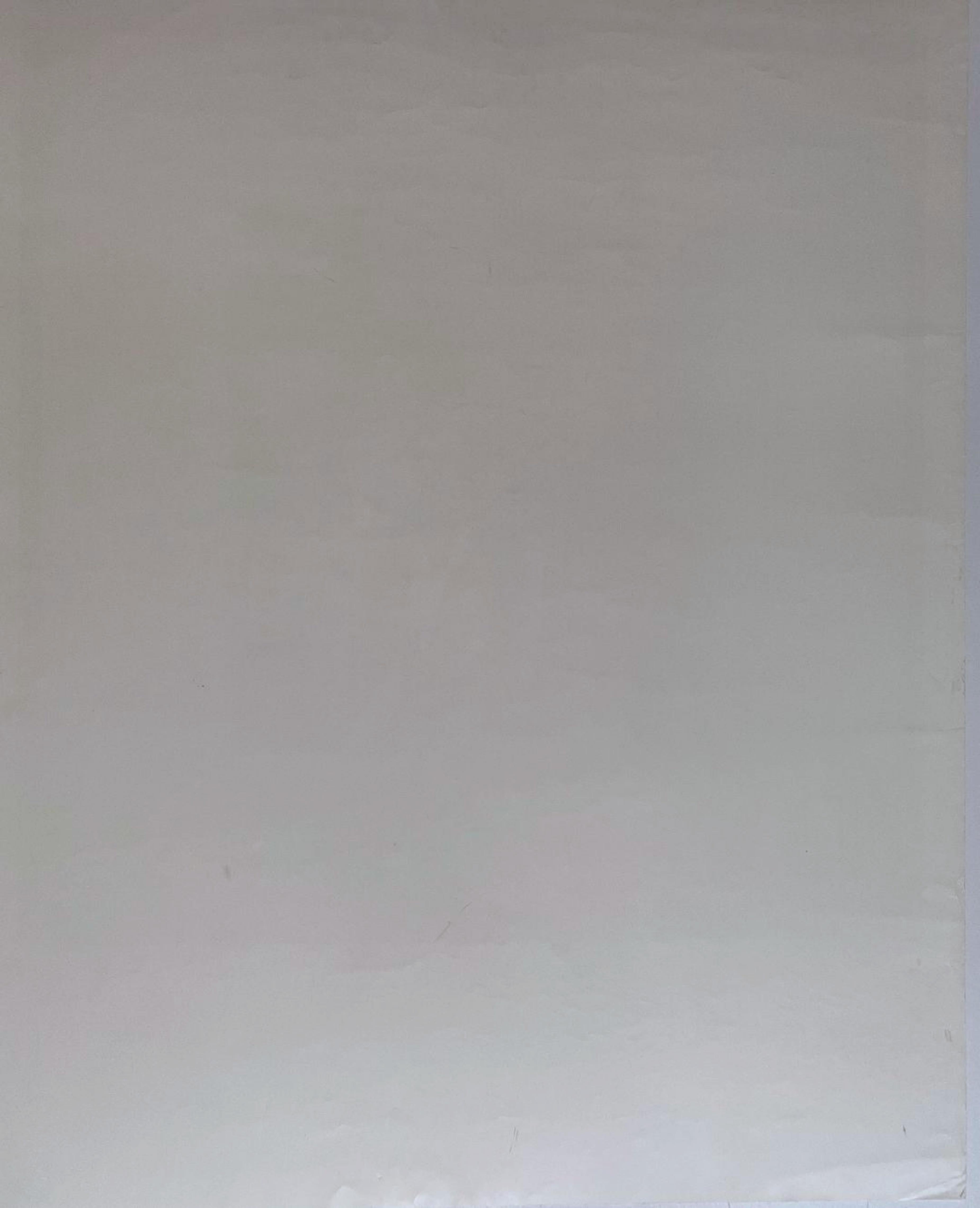 Póster: Fotografías 1970-1990 con Steve Martin (Firmado a mano por Annie Leibovitz) 2