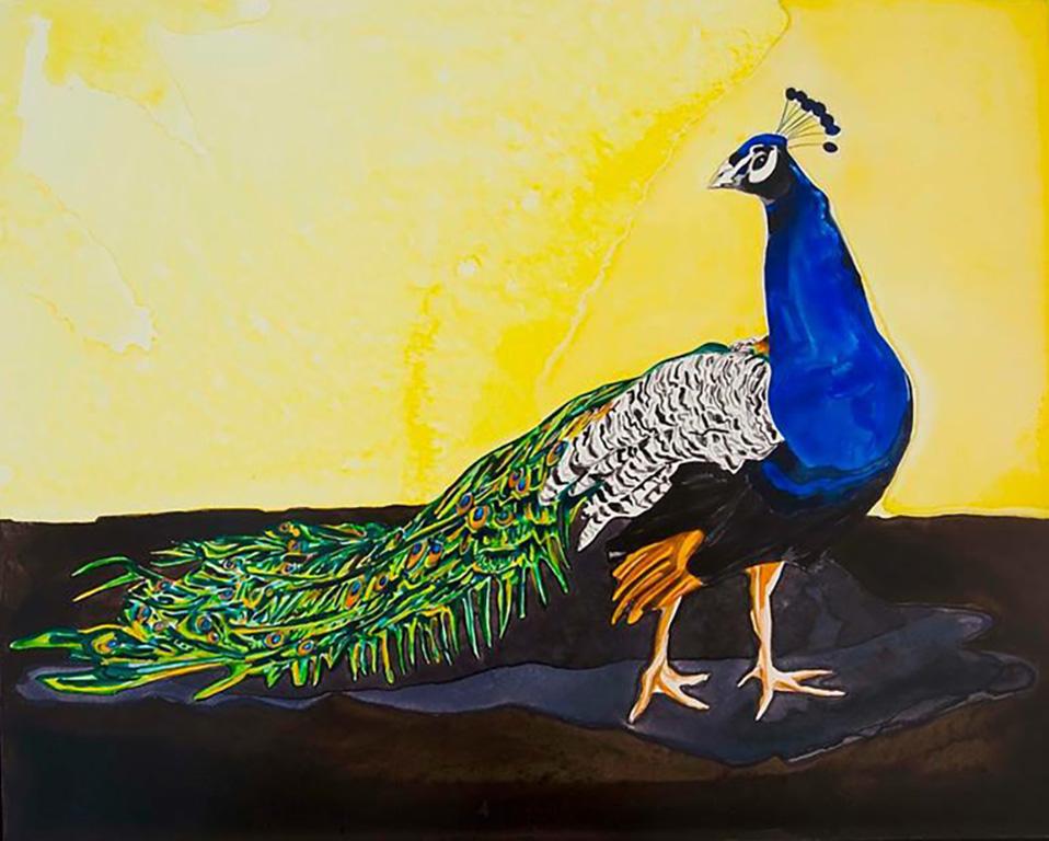 « Peacock Profile », peinture d'animaux, aquarelle sur panneau, couleurs vives, encadrée